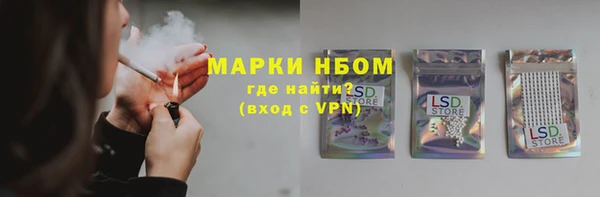 индика Магас