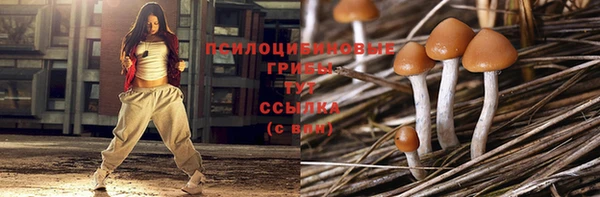дурь Майский