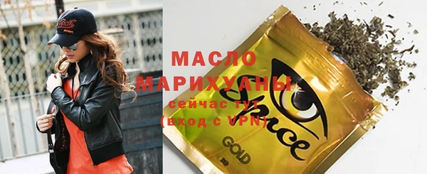 индика Магас