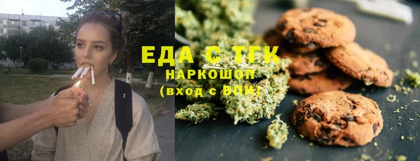 индика Магас