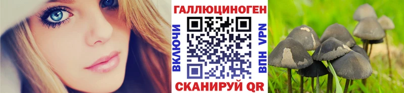 Галлюциногенные грибы мухоморы  Купить закладки  Псков 